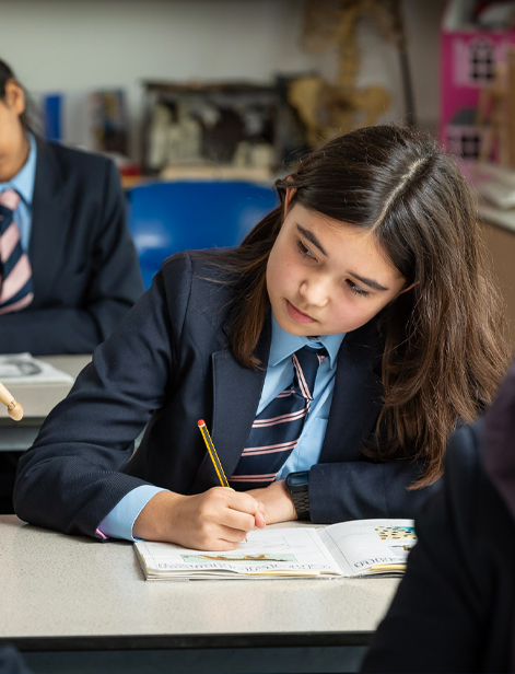 About Pimlico Academy